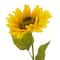 Gold Sunflower Stem by Ashland®